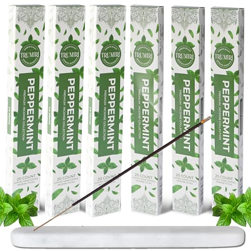 Peppermint Incense Sticks - Total 120 Insence-Sticks - 6 Packs of 20 Insense - Inciensos - Inscents - Natural Non Toxic Ingredients - Incents - Incence - Inscense - Insents - color: Peppermint, size: Pack of 6 (120 Sticks)