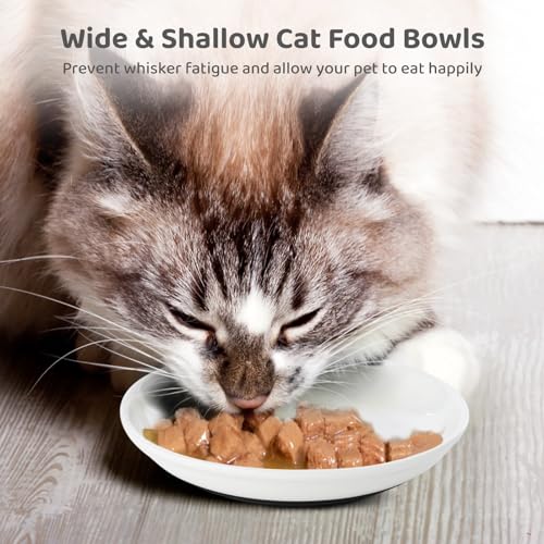 Ceramic Cat Bowls - 10 Pack, No Whisker Fatigue Wide Shallow Cat Dishes with Non-Slip Silicone Bottom, Pet Food & Water Plates, 15cm Diameter
