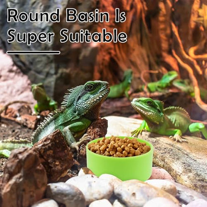 10 Pcs Tarantula Micro Water Bowl Small Reptile Food Dish Feeding Bowl for Spider Gecko Lizard Horned Frog Turtle (Green)
