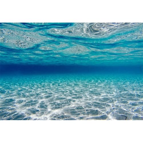 Renaiss 5x3ft Underwater World Backdrop Undersea Sunlight Seabed Photography Background Under The Sea Waves Diving Mermaid Summer Pool Party Banner Fish Tank Aquarium Decors Photo Booth Props - color: Sea888, size: 5x3ft