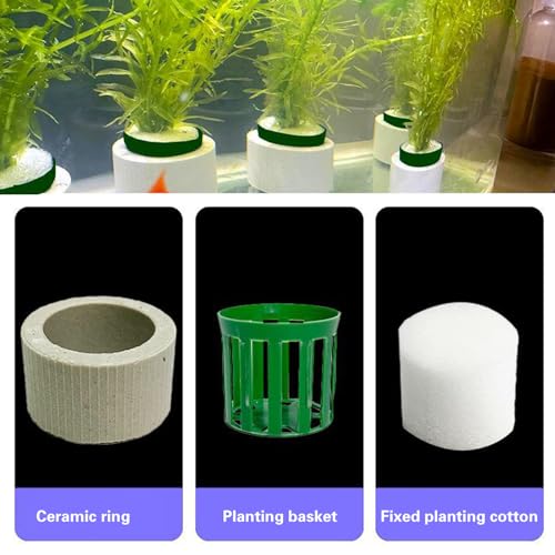 12 Pack New Upgrade Aquarium Plant Weights, Aquatic Plants Fixed Ring Set, Anti-Floating Ceramic Aquarium Plant Rings, Aquarium Landscape Decoration Fish Tank Accessories 1.8 x 1.3 Inch