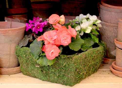 SuperMoss (55170 Santee, Fresh Green, Fits 2 Blocks for Floral Foam