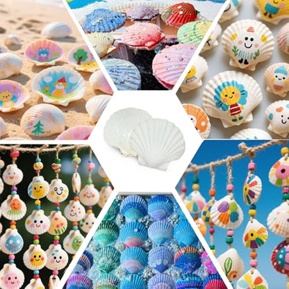 30PCS Natural Scallop Shells 2.3''-3'' White Sea Shells for DIY Craft Making, Hand Painting, Ocean Themed Party and Home Décor - size: L-30pcs