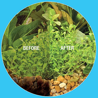 MICROBE-LIFT Gravel & Substrate Cleaner for Saltwater Aquarium and Freshwater Tanks, Tank Cleaner and Aquarium Water Conditioner, Clarifies Water, Reduces Sludge, Aquarium Supplies, 4 Ounces (GSC04) - size: 4 Ounces