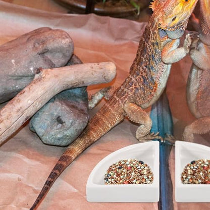 Reptile Water Bowl and Food Dish, Large Ceramic Triangle Terrarium Bowl, Multi-Function Water Feeder for Turtles, Lizards, and Bearded Dragons