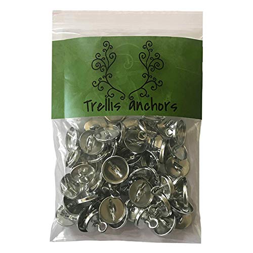 100-Piece Anchors for Trellis, Vine, Wall Climbing Plants, Lighting Strip