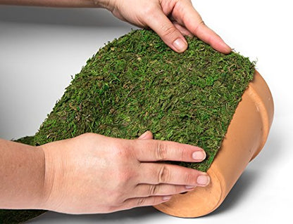 SuperMoss (22401) Instantgreen Moss Mat, Peel N Stick, 18 x 48in, Fresh green
