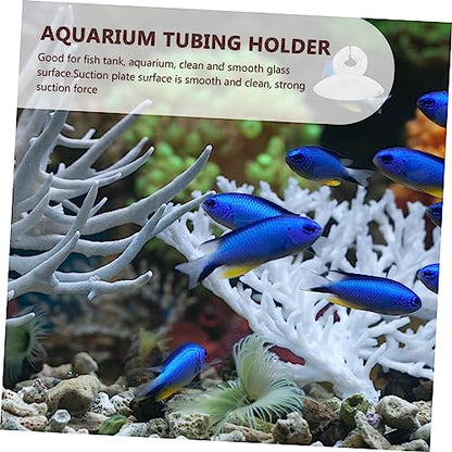 Ipetboom 100 Pcs Aquarium Fixed Suction Round Threads Cups Conditioner Lifter Dosing Pump Pump Aquarium Plumbing Fittings Aquarium Diffuser Cleaner Fish Tank Hose Air Transparent - color: Transparentx4pcs, size: 3X3X2CMx4pcs