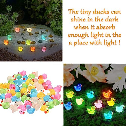 Cidinge 60 Pcs Mini Resin Ducks Luminous Tiny Ducks Miniature Duck Glow in The Dark for DIY Garden Dollhouse Duck Accessories Micro Landscape Aquarium Party Decor - style: Luminous Ducks