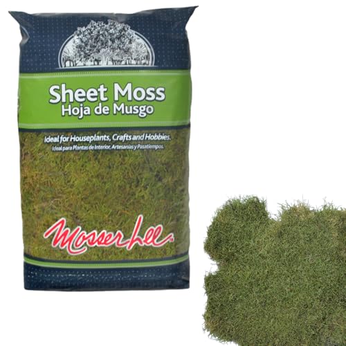 Mosser Lee ML0480 Natural Green Sheet Moss – 520 sq. in. – Organic Decorative Moss for Terrariums, Planters, Crafts & Moisture Retention - style: 520 Sqaure Inch