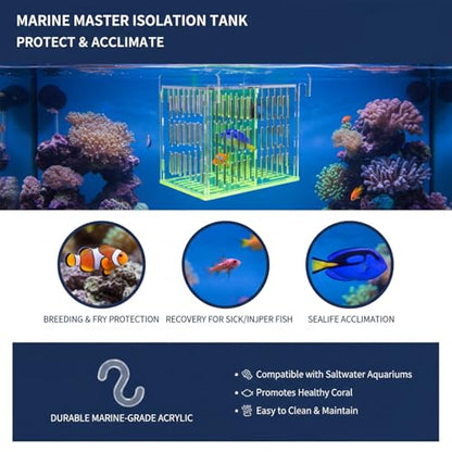 Green Acrylic Aquarium Breeder Box, 7.4x5.3x6.3 in Hang-On Fish Isolation Box with Long Handle Net, Removable Divider & Feeding Hole for Betta Guppy Shrimp Freshwater Saltwater - color: Green, size: 7.4x5.3x6.3in
