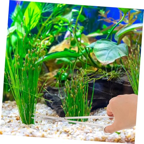 DECHOUS 1Set Aquarium Plant Tool Scissors Tweezers Spatula for Fish Tank Maintenance Compact Aquascaping Kit Long Handle Cleaning Gadgets for Aquatic Plants