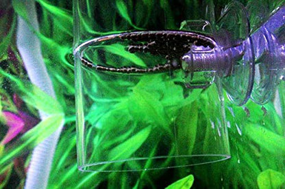 DGZZI Acrylic Aquarium Fish Tank Adjustable Circle Ring Feeder - Floating Food Dish Protection Cover Tray