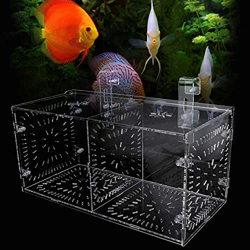 Fish Breeding Box Acrylic Fish Isolation Box Fish Seedlings Incubator Aquarium Fish Breeder Box with Isolation Board for Baby Fishes Shrimp Clownfish and Guppy(30CM*15CM*15CM)