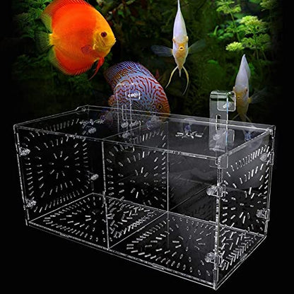 Fish Breeding Box Acrylic Fish Isolation Box Fish Seedlings Incubator Aquarium Fish Breeder Box with Isolation Board for Baby Fishes Shrimp Clownfish and Guppy(30CM*15CM*15CM)