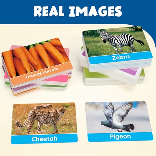 BenBen Flash Cards for Toddlers, Extra Thick, 250 Images, Double-Sided Educational Flashcards, Alphabet, Number, Animal, Shape, Color, Preschool Learning Activities, Gift for Kids 1 2 3 4 Years