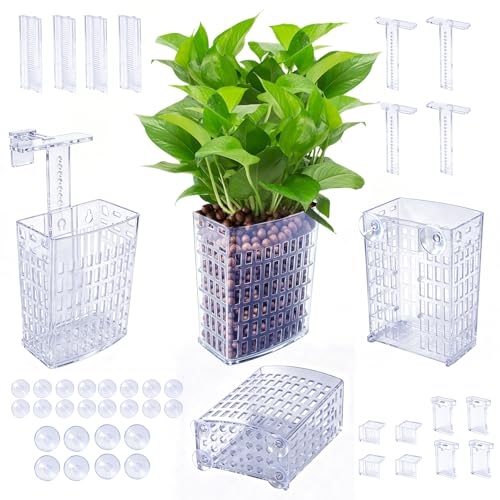 Newly Upgraded Aquarium Plant Holder | Adjustable in Height and Width, with Extendable Hook and Suction Cup, 4-Pack for Aquatic Plants and Aquariums(Transparent) - color: Transparent