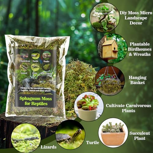 Sukh Sphagnum Moss for Reptiles - Terrarium Reptile Moss Substrate, 15.8 OZ | Habitat Bedding for Snake, Gecko, Turtle, Frog, Bearded Dragon, Jumping Spider, Chameleon, Enclosure & Tank Accessories Decor - size: 15.8 Ounces