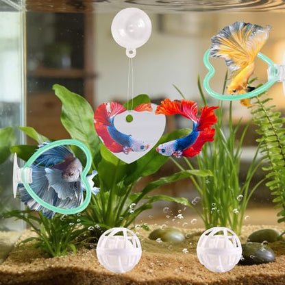 Betta Fish Toys, 2 PCS Heart Fish Exercise Ring and Nitrifying Balls Set, Heart Betta Mirror Toy Set, Feeding Ring with Suction Cup, Fishing Tank Accessories for Gifts (Green) - color: Green Heart