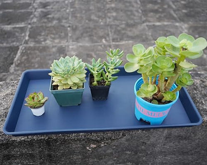 VUWEZ Rectangle Plant Tray, Plant Drip Tray, Plant Pot Saucers, Plant Germination Trays, Plant Saucers, 11'' x 9'' x 1.2'' (2 pack), Blue - color: Blue, size: 11'' x 9'' x 1.2'' (2 pack)