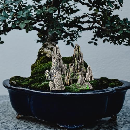 8pcs Mini Resin Rockery Model Garden Decoration Indoor Bonsai Mountain Aquarium Decor Miniature Landscaping Statue for Terrariums and Fairy Gardens