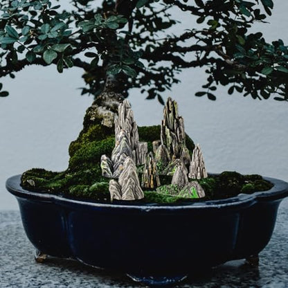 8pcs Mini Resin Rockery Model Garden Decoration Indoor Bonsai Mountain Aquarium Decor Miniature Landscaping Statue for Terrariums and Fairy Gardens