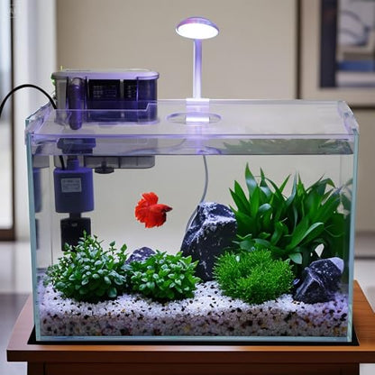 3 Gallon Glass Small Fish Tank, Betta Fish Tank Starter Kit with Filter, Lights,Lid. - size: 3 Gallon