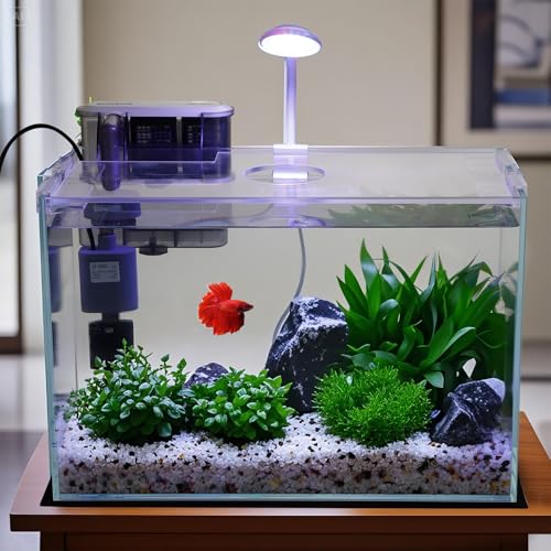 Vimvins 5 Gallon Glass Small Fish Tank with Filter Light and Lid, Betta Aquarium Starter Kits - size: 5 Gallon