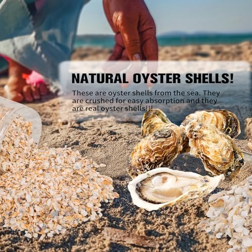 QEQEKAKA Crushed Oyster Shells About 2LB (880g/31OZ) Contains Calcium Small Natural Crushed Shells Bulk