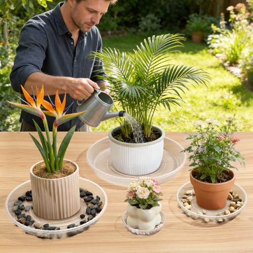 5 Pack 5 Inch Clear Plant Saucers, 5 7 9 11 13 15 Inch Plastic Plant Trays for Flower Pots Plant Drip Water Catcher Tray Indoors Outdoor (5 Inch) - size: 5 Inch