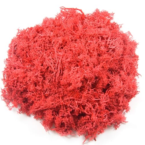 3.5oz Fake Red Moss for Crafts | Realistic Artificial Reindeer Moss for Art, Floral Project, Table Centerpieces, Fairy Garden Accessories, Wall Decor - color: Red