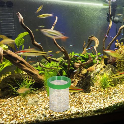 Toddmomy 2 Sets Fish Breeding Box: Aquarium Fish Egg Incubator and Breeding Case - Floating Isolation Box for Guppy Fry - Tank Nursery