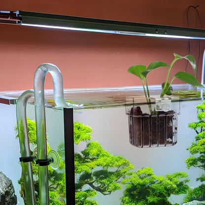 NOLITOY 4 Pack Aquarium Plant Cups Clear Acrylic Hanging Aquarium Plant Holder with Bottom Holes and Screw Fixture Fish Tank Pots for Live Plants Accessories