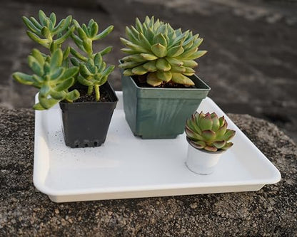 VUWEZ Plant Saucer Growing Tray, Seed Starter Tray Rectangular, Heavy Sturdy Plastic Plant Saucers Drainage Trays, Plant Drip Trays for Pots, Seed Starter Growing Pots (11 x 9 inch, 2 Pack) - color: Creamy White, size: 11'' x 9'' x 1.2'' (2 pack)