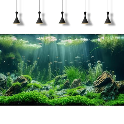 Underwater Aquatic Seagrass Aquarium Background Under The Sea Grass Leaves Lush Green Moss Fish Tank Background Deep Sea Rock Cork with Foggy Misty Sunbeams Terrarium Backgrounds Wallpaper 72x16in - size: 72(W)x16(H)inches/ 180(W)*40cm(H)