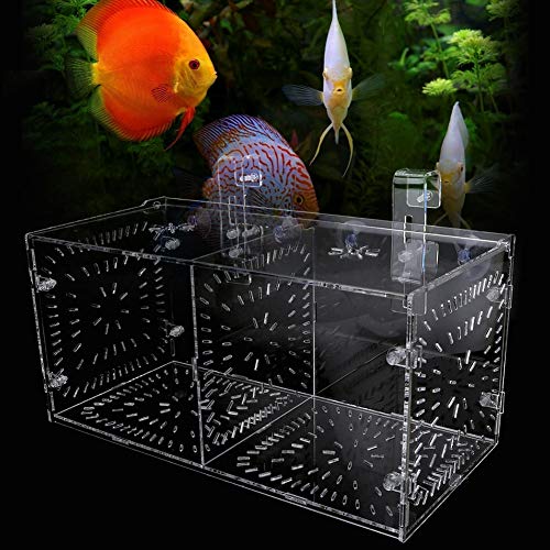 Acrylic Fish Breeding Box 20x20x20cm Mesh Rearing Trap for Baby Shrimp Clownfish Guppy, Isolation Board Prevents Adult Attack, Adjustable Suction Cup Fixation for Aquarium Hatchery - size: 30CM*15CM*15CM