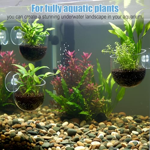 Suction Cup Plant Holder, 3 Pcs ABS Aquarium Plant Holder Transparent Fish Tank Plants Holder Aquatic Plants Cup for Aquascape Decoration