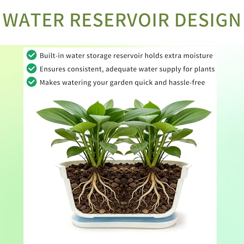 5-Pack White Herb Planter Box with Drip Trays, 8.5 Inch Small Oval Window Planters for Kitchen Sill, Indoor Outdoor, Perfect for Basil, Mint, Succulents, Flowers - size: 5 Pack