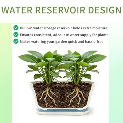 5-Pack White Herb Planter Box with Drip Trays, 8.5 Inch Small Oval Window Planters for Kitchen Sill, Indoor Outdoor, Perfect for Basil, Mint, Succulents, Flowers - size: 5 Pack