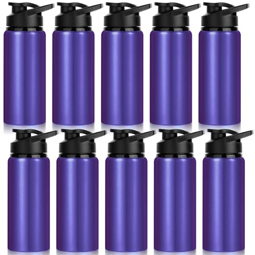 10 Pack Water Bottles Bulk, 20oz Sports Aluminum Water Bottle with Snap Lids Metal Reusable Leak proof Personalized Bottle for Travel Camping Gym Hiking Fishing (Purple) - color: Purple