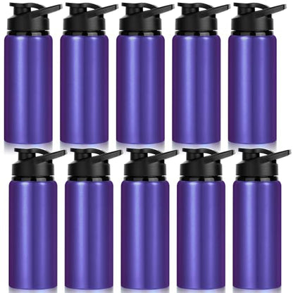 10 Pack Water Bottles Bulk, 20oz Sports Aluminum Water Bottle with Snap Lids Metal Reusable Leak proof Personalized Bottle for Travel Camping Gym Hiking Fishing (Purple) - color: Purple