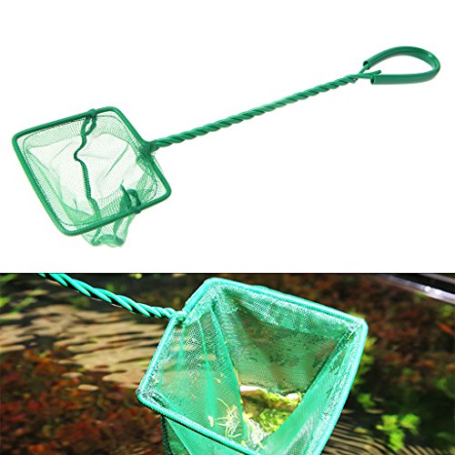 Aquarium Fish Net 4" Fine Mesh Green Skimmer Filter for Small Fish Tanks Catch Net with Comfortable