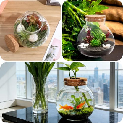 Small Fish Bowl, Cute Betta Tank, High Clear Fish Glass Bowl, Desktop Mini Aquarium Vases for Betta Fish and Hydroponic Plants, Plants Propagation Station, Home Office Table Decorations