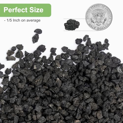 Pulovin 2.5lbs Lava Rocks for Plants, 1/5 Inch Black Gravel for Succulent, Cactus, Bonsai Tree, Pure Volcanic Rocks, Top-Dressing, Good Drainage - color: Black