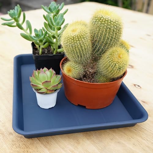 VUWEZ Rectangle Plant Tray, Plant Drip Tray, Plant Pot Saucers, Plant Germination Trays, Plant Saucers, 11'' x 9'' x 1.2'' (2 pack), Blue - color: Blue, size: 11'' x 9'' x 1.2'' (2 pack)