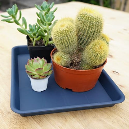 VUWEZ Rectangle Plant Tray, Plant Drip Tray, Plant Pot Saucers, Plant Germination Trays, Plant Saucers, 11'' x 9'' x 1.2'' (2 pack), Blue - color: Blue, size: 11'' x 9'' x 1.2'' (2 pack)