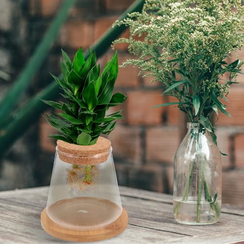 Small Glass Fish Bowl with Wooden Lid and Mat, Hydroponic Micro Landscape Planter Bottle for Desktop Betta Fish Tank and Plant Terrarium