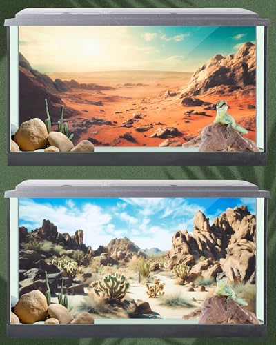 Breling 4 Pcs 24 x 11.8 Inch Reptile Habitat Background with Nano Glue Gobi Sun Cactus Stone and Green Tree Fern Stream Terrarium Background Polyester Durable Aquarium Accessories - color: Style1, size: 24 x 11.8 Inch