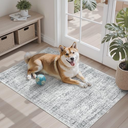 Soalmost 2x3 Washable Rugs for Kitchen, Entryway, Small Area Rug Grey - color: Grey, size: 2' x 3' (Rectangular)