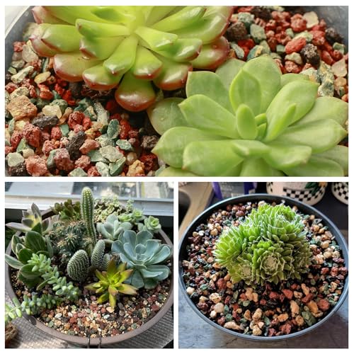 11 Pounds Mix Horticultural Lava Rocks, 3-6 mm Lava Rocks for Plants, Bonsai Rocks Horticultural Grit Soil Cover Gravel for Succulents and Hydroponics, Fairy Gardening, Top Dressing, Plant Drainage - size: 0.15-0.24 inch, style: Mix lava/ 11 pounds